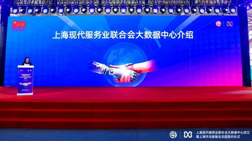 上?，F(xiàn)代服務(wù)業(yè)聯(lián)合會(huì)大數(shù)據(jù)中心成立，賦能產(chǎn)業(yè)創(chuàng)新與區(qū)域發(fā)展